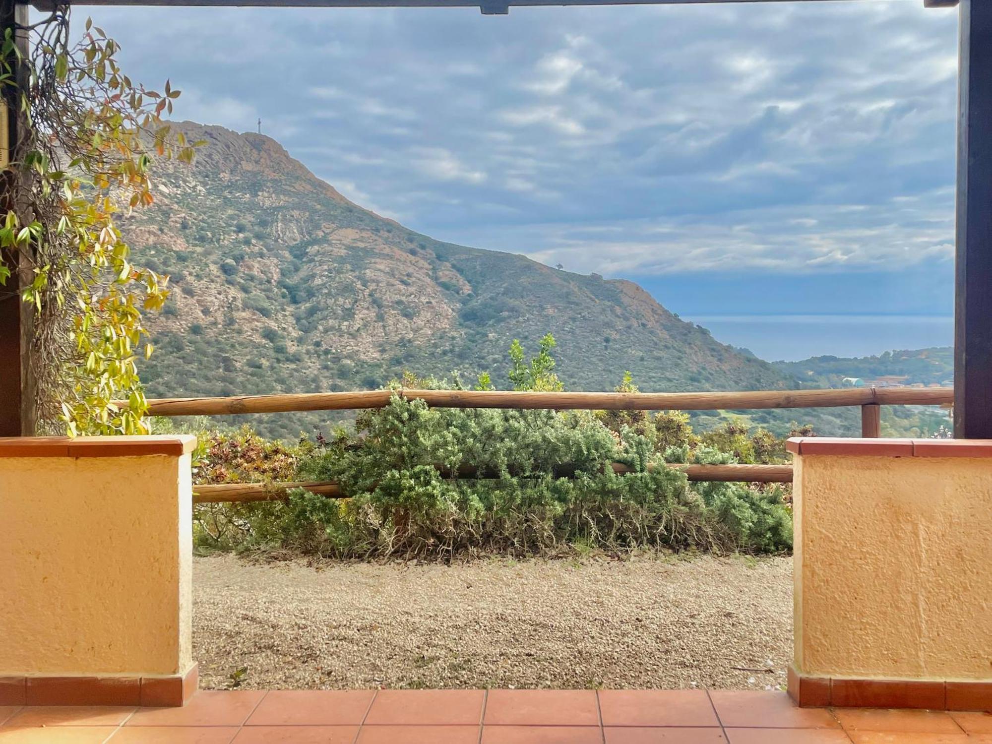 Apartament Aria Di Collina - Isola D'Elba Porto Azzurro Pokój zdjęcie